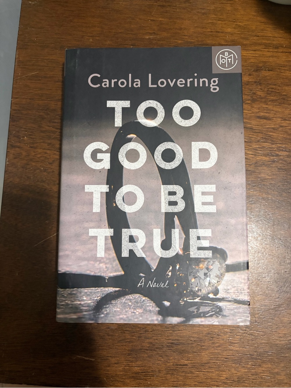 Too Good To Be True by Carola Lovering - Hardcover Book